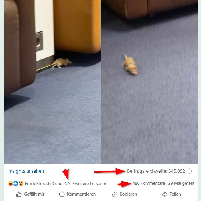 2025 02 10 23 03 01 12 Business Class First Class Flights. Deals More. I love Senators L